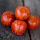 15 Seeds Tomato (Tigerella) Seeds - Garden Fruit Seeds - Easy To Grow