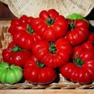 60 Seeds Tomato (Costoluto Fiorentino) Seeds - Garden Fruit Seeds - Easy To Grow