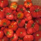 90 Seeds Tomato (Santorini) Seeds - Garden Fruit Seeds - Easy To Grow