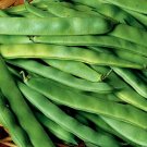 50 Seeds - ROMA ITALIAN GREEN BEAN - Phaseolus Vulgaris Vegetable Seeds