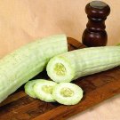 100 Seeds - Cucumber "Armenian Yard long" - Vegetable Garden