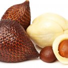 10 Seeds - Snake Fruit Bonsai Healthy Delicious - Miracle Fruit Buah Salak Garden