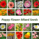 100 Seeds - Poppy Flower Mixed Seeds - Flower Garden ALL VARIETIES POPPY