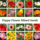 50 Seeds Rare - Mixed Poppy Flower Seeds - ALL TYPE MIXED POPPY FLOWER SEEDS