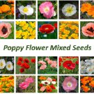 50 Seeds Rare - All Type Poppy Flower Seeds - FLOWER SEEDS MIXED POPPY SEEDS