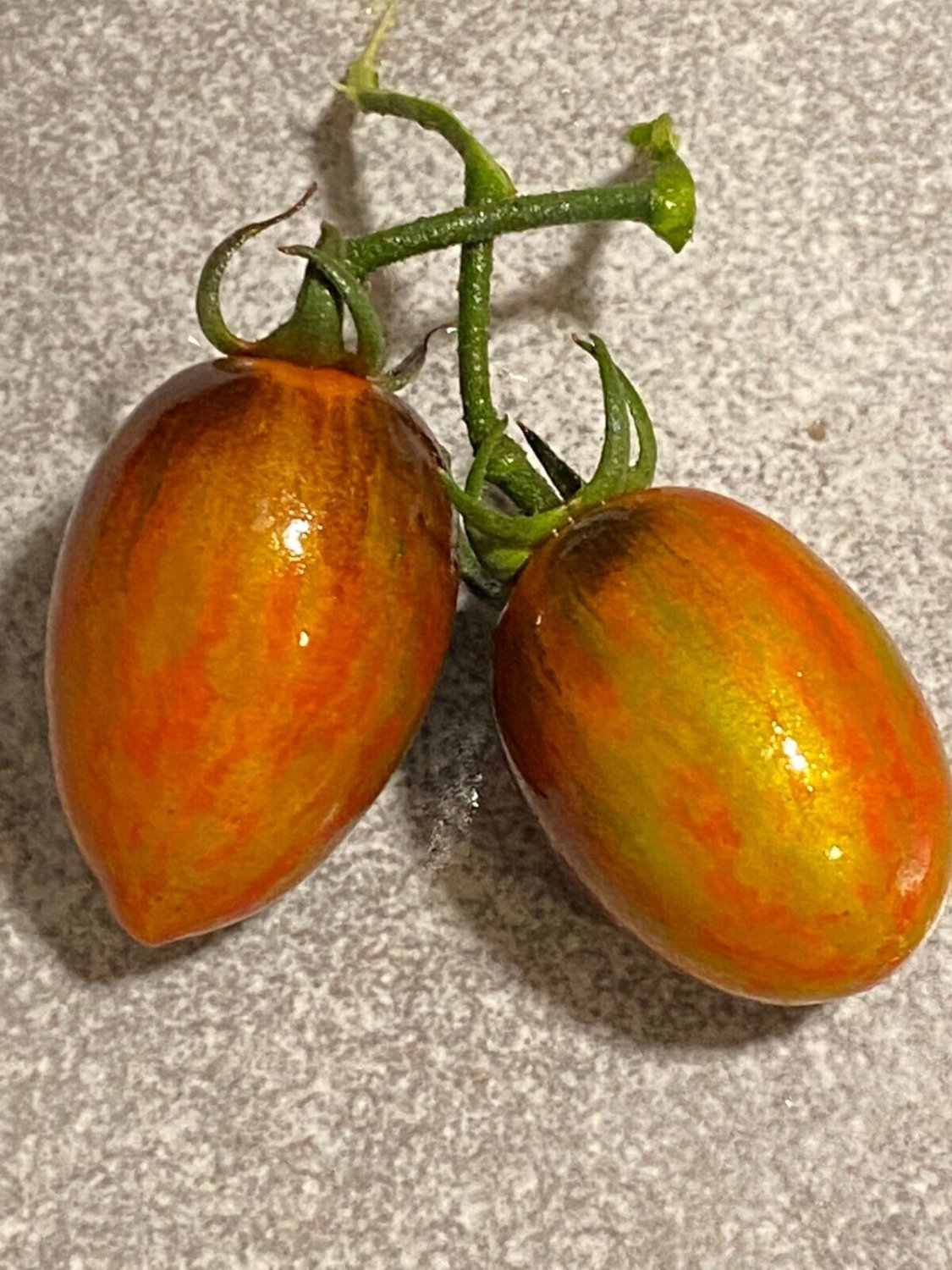 25 Seeds - TOMATO ( Brad's Atomic Grape ) - Vegetables Rare Tomatoes