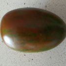 20 Seeds - Swiss Heirloom Atomic Kumato Large Grape Tomato