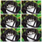 10 Seeds - Black Tails Rose Seeds Flower Seeds - Flower Seeds Garden