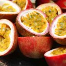 10 Seeds - PANAMA RED PASSION FRUIT SEEDS High Yielding - Fruit Seeds Garden