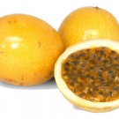 10 Seeds - PANAMA GOLD PASSION FRUIT SEEDS - Fruit Seeds Garden