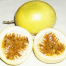10 Seeds Golden Passionfruit - Passionfruit (passiflora edulis) Reliable Viable - Fruit Seeds Garden