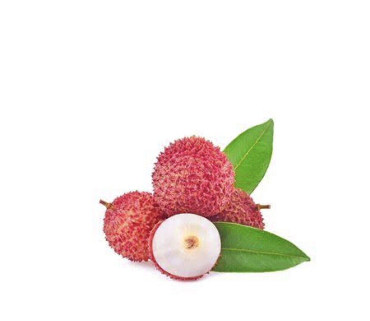 6 Seeds - Lychee Litchi Fruit Seeds Delicious Sweet - Fruit Seeds Garden