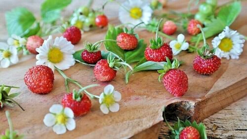 30 Seeds - STRAWBERRY 'Alpine' MINI SWEET cold climates  - Fruit Seeds Garden