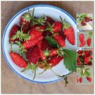 30 Seeds - STRAWBERRY Alpine Dessert Elongated fruit - Garden Fruit Plant Seeds