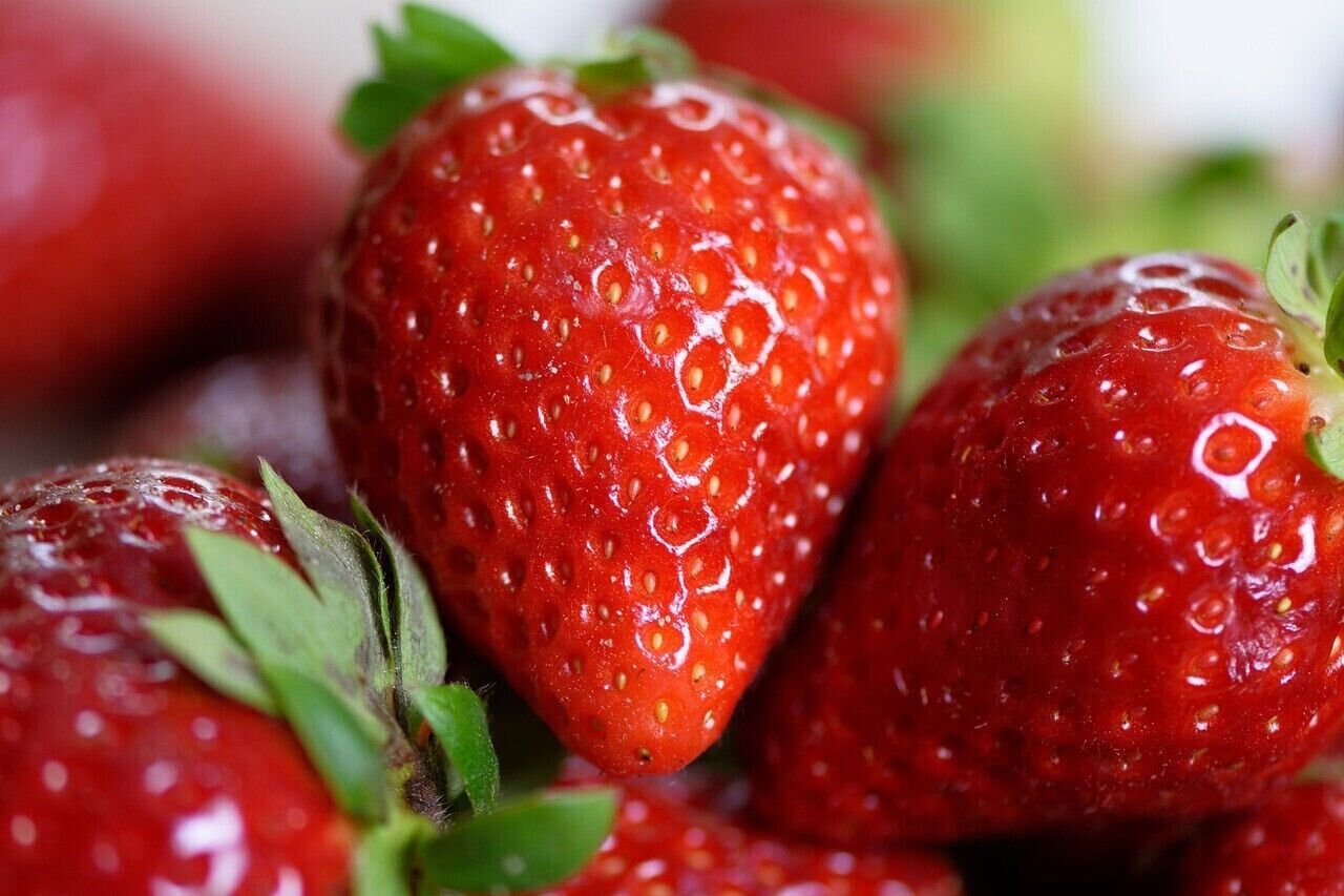 10 Seeds - ALPINE STRAWBERRY SEEDS Fruit- Garden Fruit Plant Seeds