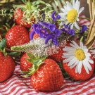 10 Seeds - WILD STRAWBERRY SEEDS Fruit- Garden Fruit Plant Seeds