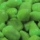 10 Green Strawberry Seeds - Strawberry Berry Fruit - Garden Fruit Plant Seeds