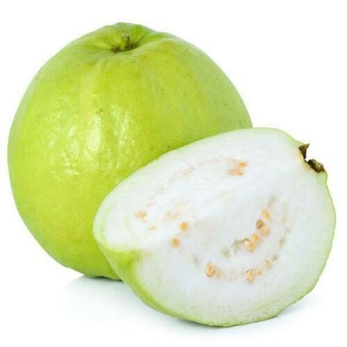 20 Seeds - GUAVA Thai White Fruit Seeds - Fruit Garden Seeds
