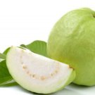 30 Seeds - Guava Thai White, Psidium guajava Fruit Seeds - Fruit Garden Seeds