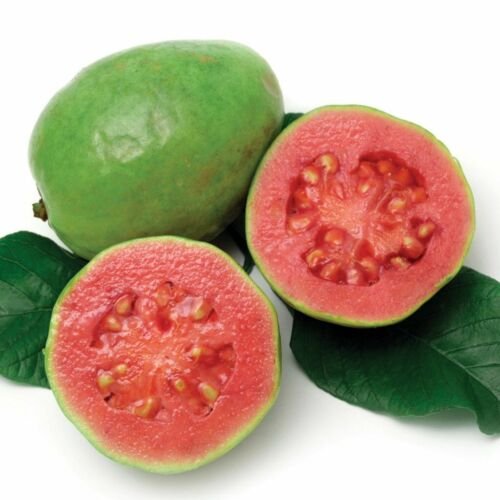 30 Seeds - Guava Hawaiian Pink Ruby Supreme Fruit Seeds - Fruit Garden Seeds