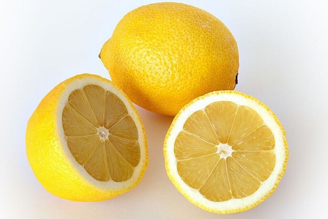 5 Seeds - CITRUS FRUIT TREE SHRUB Fruit Seeds - Fruit Garden Seeds