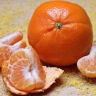 5 Seeds - HONEY MURCOTT MANDARIN SEEDS Fruit Seeds - Fruit Garden Seeds