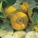 15 Seeds - CUCUMBER Lemon Vegetable Fruit Seeds - Fruit Garden Seeds