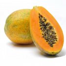 10 Seeds - PAPAYA SEEDS YELLOW PAW PAW Sweet Fruit Seeds - Fruit Garden Seeds