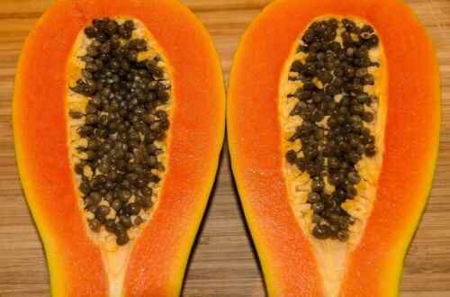 10 Seeds - RED PAPAYA SEEDS High Yielding Fruit Seeds - Fruit Garden Seeds