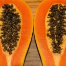 10 Seeds - RED PAPAYA SEEDS High Yielding Fruit Seeds - Fruit Garden Seeds