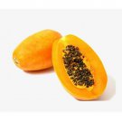 10 Seeds - Yellow Papaya Seeds Sweet Fruits Seeds - Fruit Garden Seeds