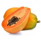 10 Seeds - YELLOW PAPAYA FRUIT Seeds - Fruit Garden Seeds