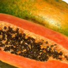 30 Seeds - Paw Paw (Carica papaya) Fruit Seeds - Fruit Garden Seeds