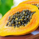 20 Seeds - SUNSHINE YELLOW PAW PAW Fruit Seeds - Fruit Garden Seeds