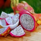 30 Seeds - PITAYA 'Dragon Fruit' White flesh Fruit Seeds - Fruit Garden Seeds