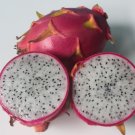 50 Seeds - WHITE FLESH DRAGON FRUIT Seeds - Fruit Garden Seeds