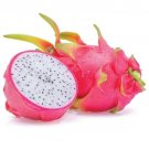100 Seeds - White-fleshed Dragon Fruit, Hylocereus undatus, Pitahaya - Fruit Garden Seeds
