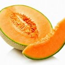 15 Seeds - Rockmelon Hales Best Jumbo Summer Cantaloupe - Fruit Garden Seeds