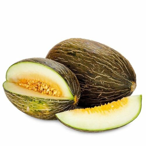 10 Seeds - Rockmelon PIEL DE SAPO Cantaloupe Fruit - Fruit Garden Seeds