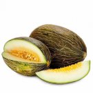 10 Seeds - Rockmelon PIEL DE SAPO Cantaloupe Fruit - Fruit Garden Seeds