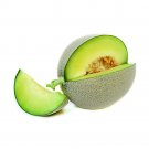 7 Seeds - ROCKMELON Emerald Prize Cantaloupe Fruit - Fruit Garden Seeds