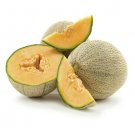 30 Seeds - Rockmelon Hales Best Cantaloupe Melon Fruit - Fruit Garden Seeds