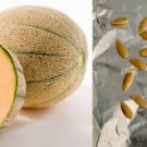20 Seeds - ROCKMELON Cantaloupe Fruit - Fruit Garden Seeds