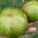 10 Seeds - Chocolate Lime Stripes Tomato Vegetable Seeds - Garden Seeds