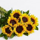 10 Seeds - SUNFLOWER Radiance Flower Seeds - Garden Flower Plant Seeds