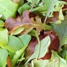 50 Seeds - MESCLUN Leaf Vegetable Garden Mix Vegetable Seeds - Garden Vegetable Plant Seeds