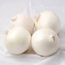 20X - Early White Grano Onion Seeds Home Vegetable Seeds - Garden Vegetable Plant Seeds