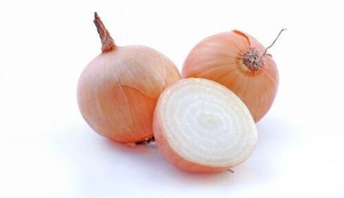 110X - ONION Gladalan brown Home Vegetable Seeds - Garden Vegetable Plant Seeds