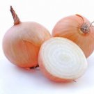 110X - ONION Gladalan brown Home Vegetable Seeds - Garden Vegetable Plant Seeds