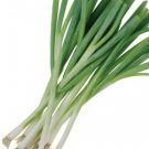 100X - Spring Onion Home Vegetable Seeds - Garden Vegetable Plant Seeds